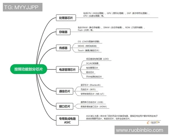 成都足球队的运营体系与战术创新探讨及其对足球发展的影响 成都足球队的运营体系与战术创新探讨及其对足球发展的影响