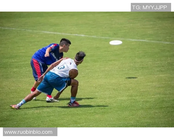 飞盘战术解析：杭州飞盘队如何构建高效阵地战体系与战术配合