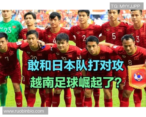 成都排球队与南京排球队对决后的深度分析与战术探讨 成都排球队与南京排球队对决后的深度分析与战术探讨