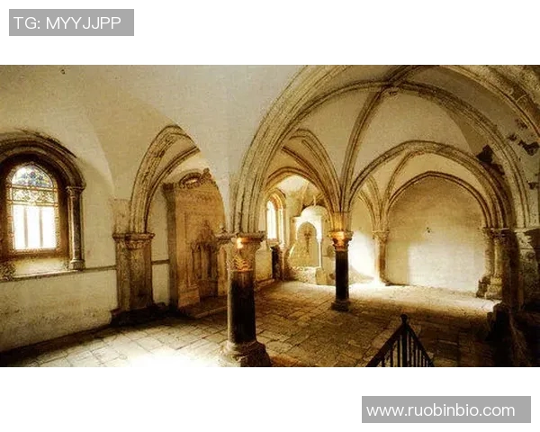 布莱克尼的魅力探秘与历史文化交融之旅