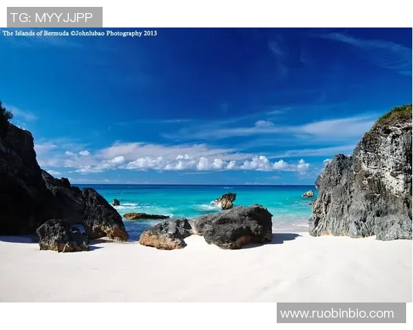 巴拿马与百慕大群的对决分析与精彩瞬间回顾