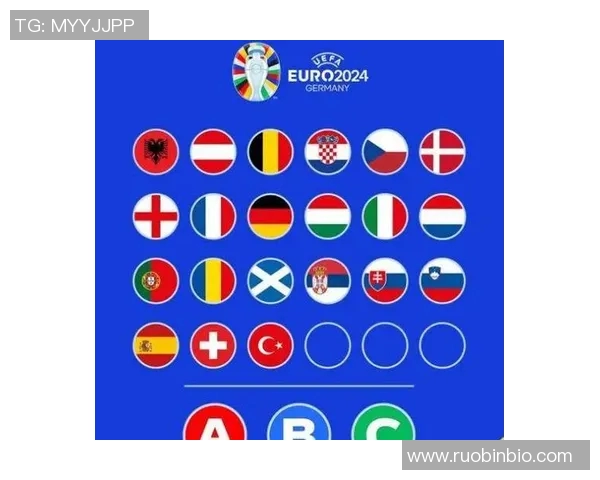 法国对阵芬兰分析法国队最新阵容及战术布局探讨