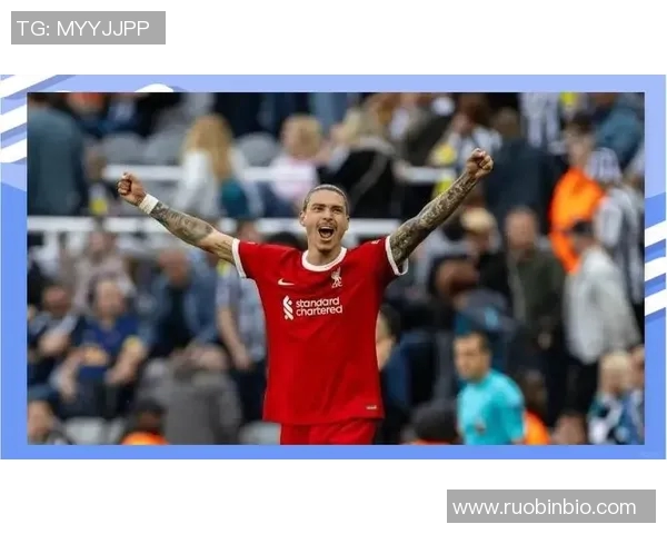 努涅斯的崛起与挑战:从新星到顶级前锋的成长之路