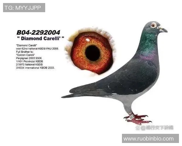 甘美奥与帕尔梅的巅峰对决谁能在赛场上书写新的传奇