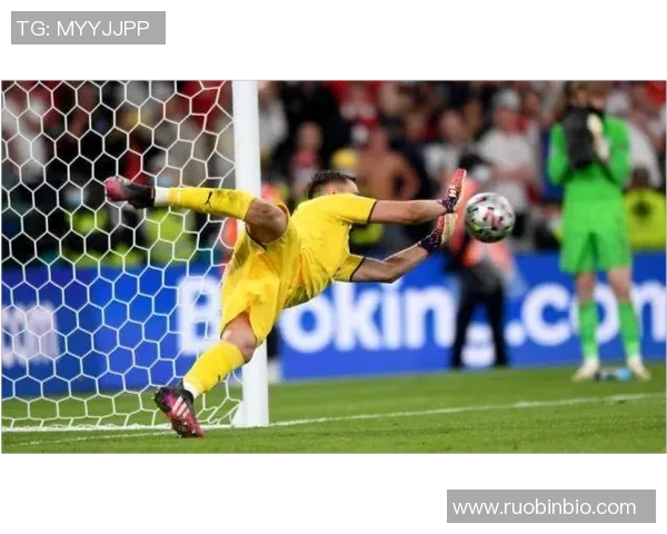 诺伊尔：守护球门的传奇门将与他的辉煌职业生涯回顾